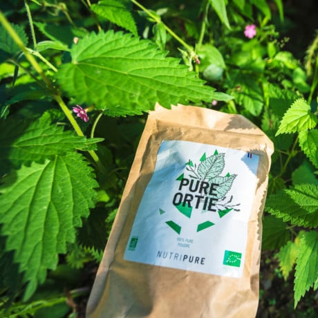 Les bienfaits de l'ortie bio